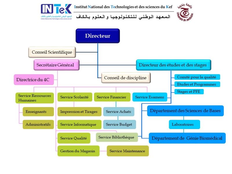 intek-organigramme